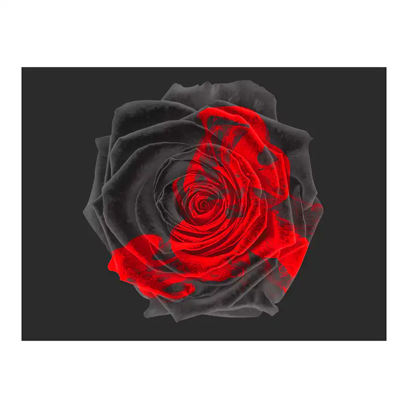 Fototapet Arkiio Transformation