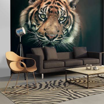 Fototapet Arkiio Bengal Tiger