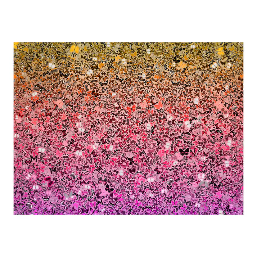 Fototapet Arkiio Språket Av Fjärilar