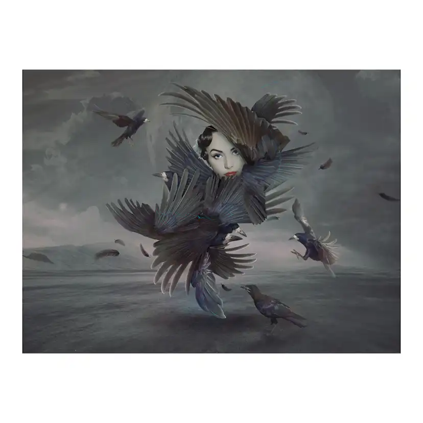 Fototapet Arkiio Täckt I Fjädrar