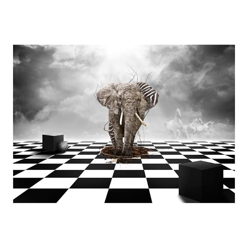 Fototapet Arkiio Getaway Från Afrika