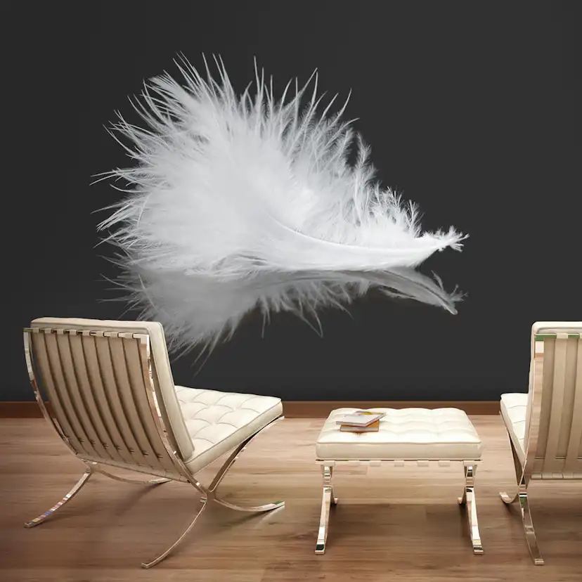 Fototapet Arkiio White Feather