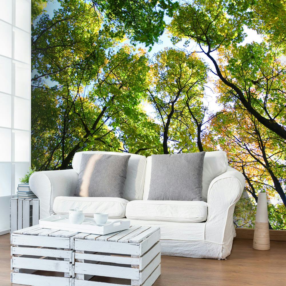 Fototapet Arkiio Looking Up At The Trees