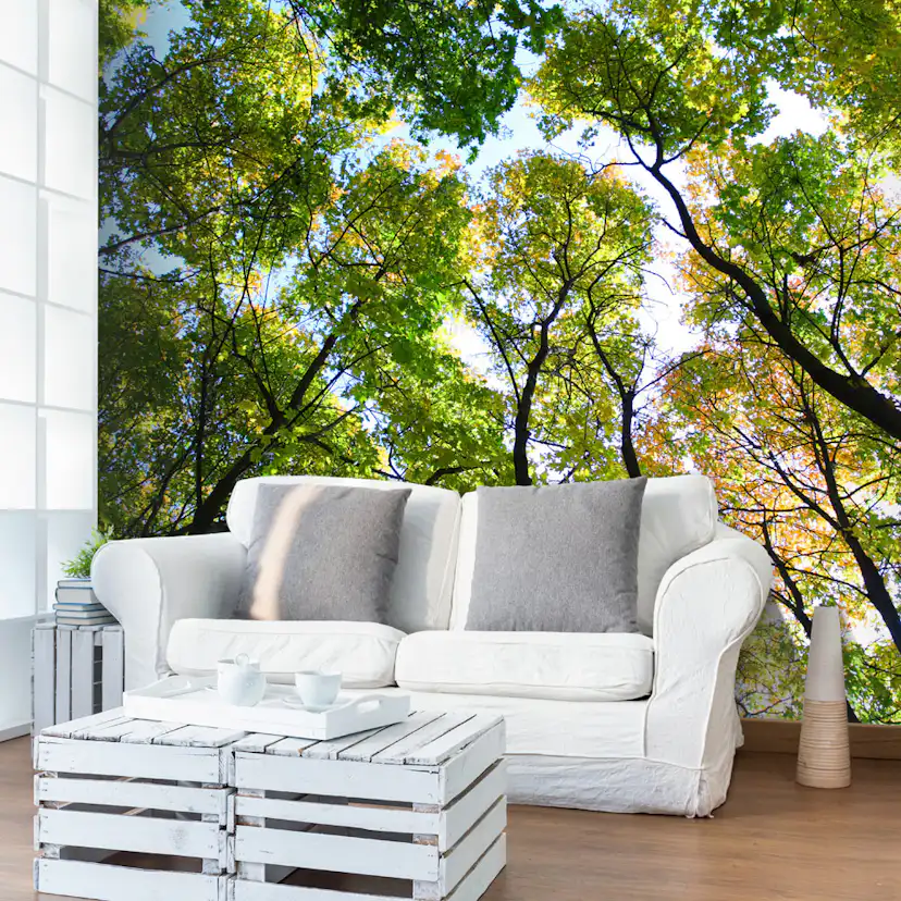 Fototapet Arkiio Looking Up At The Trees