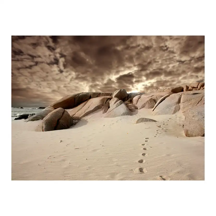 Fototapet Arkiio Strand