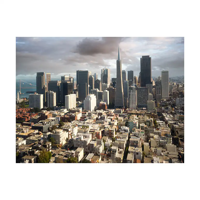 Fototapet Arkiio Träd Höst Tunnel