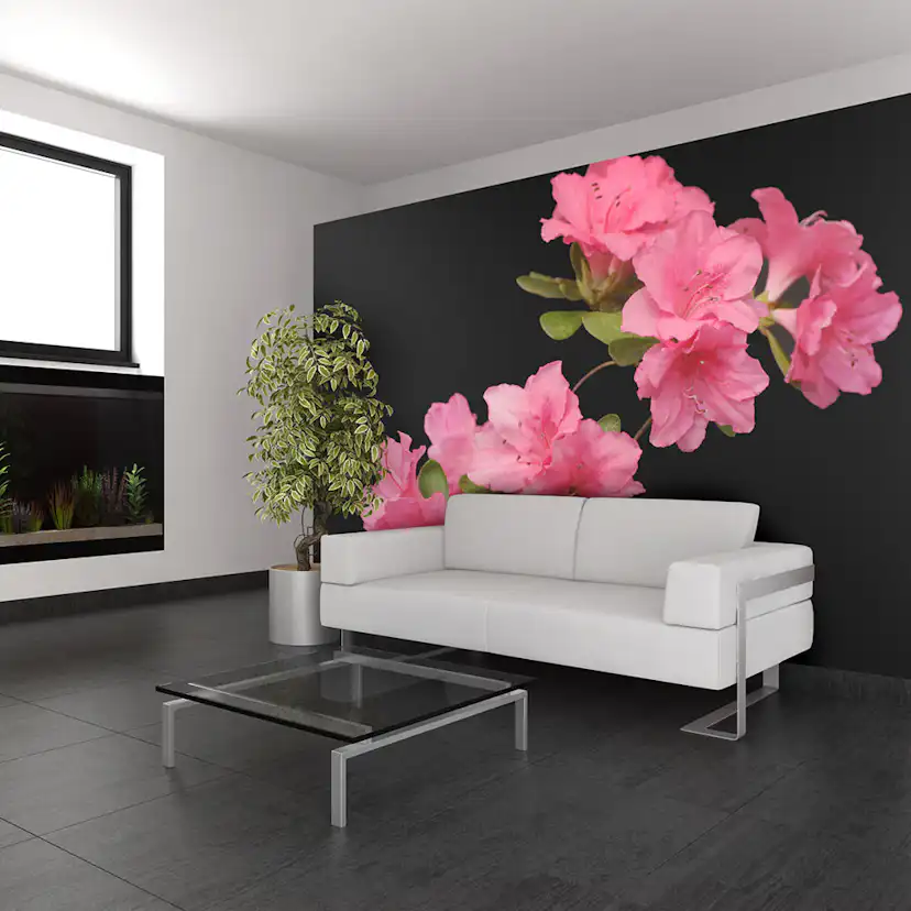 Fototapet Arkiio Azalea In Black