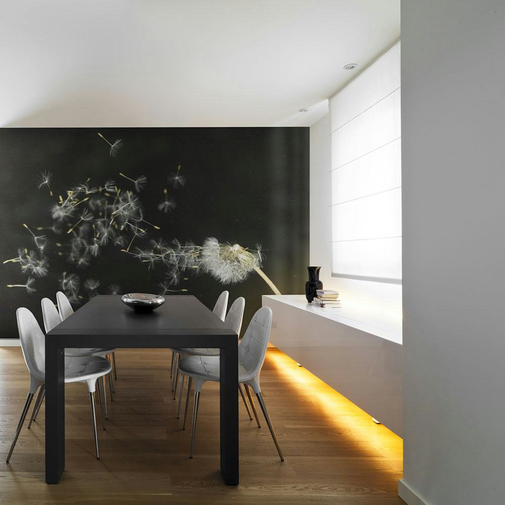 Fototapet Arkiio Maskros Transporteras Av Vinden