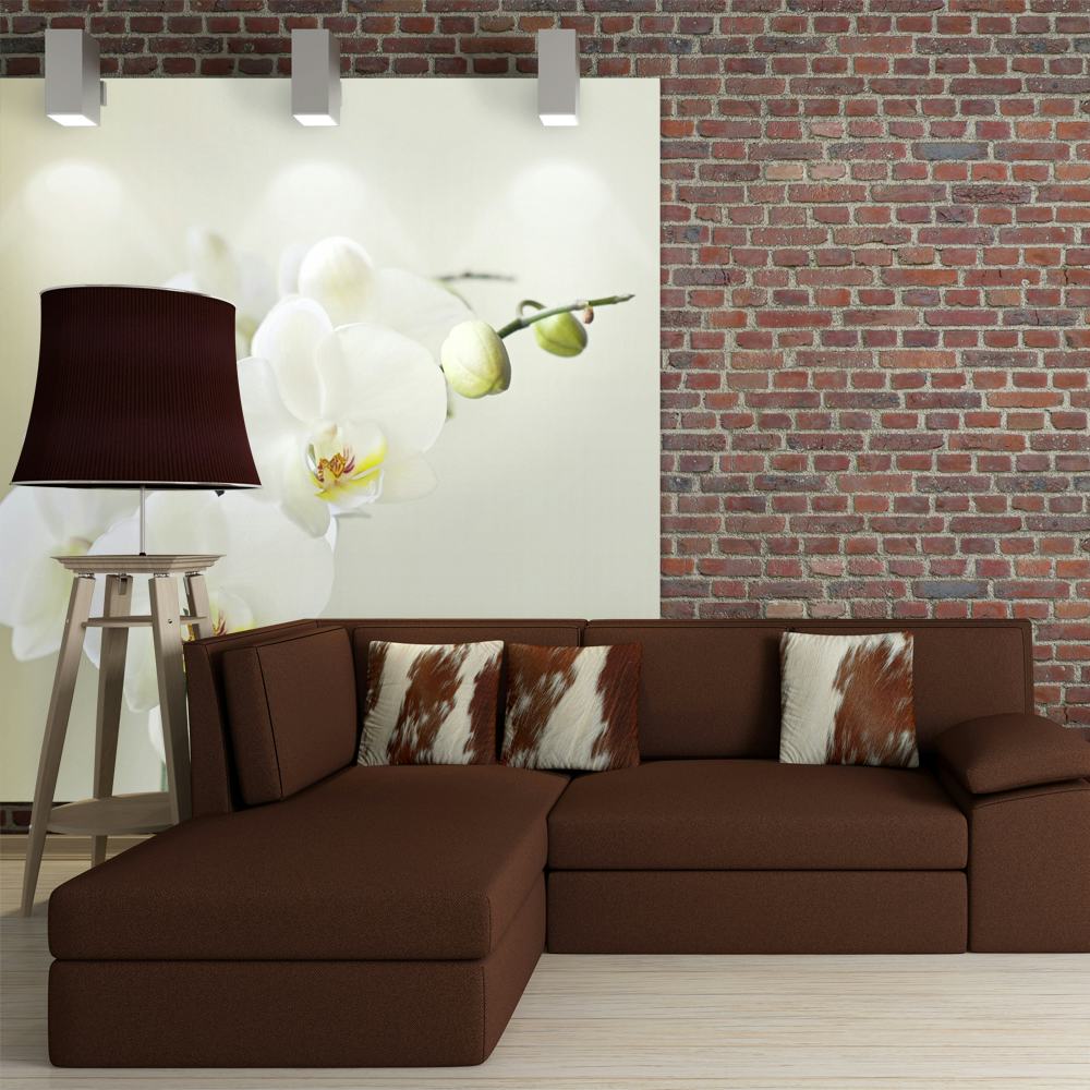 Fototapet Arkiio Orchidwhite