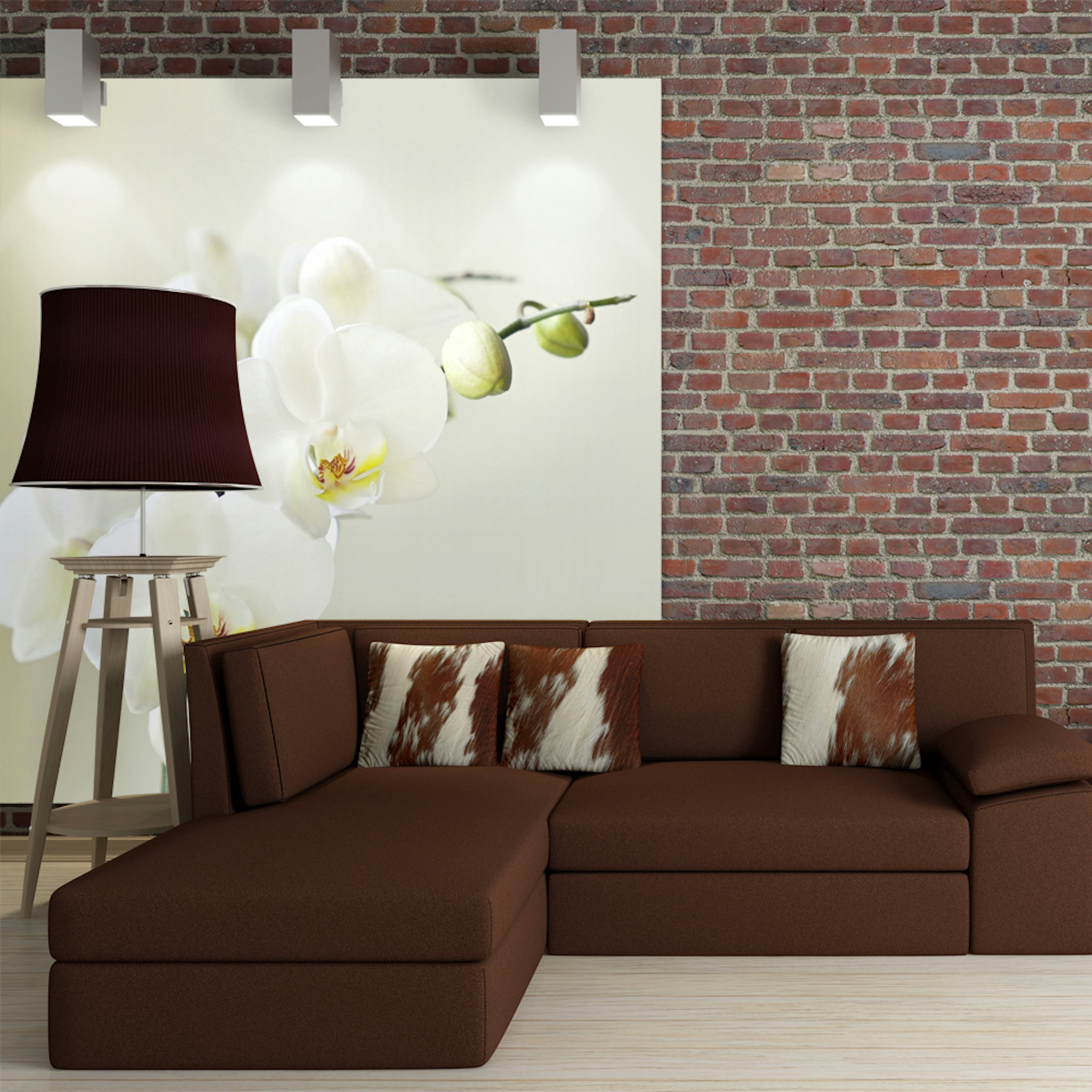 Fototapet Arkiio Orchidwhite