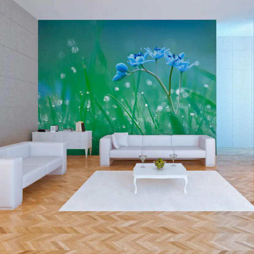 Fototapet Arkiio En Äng I Gryningen