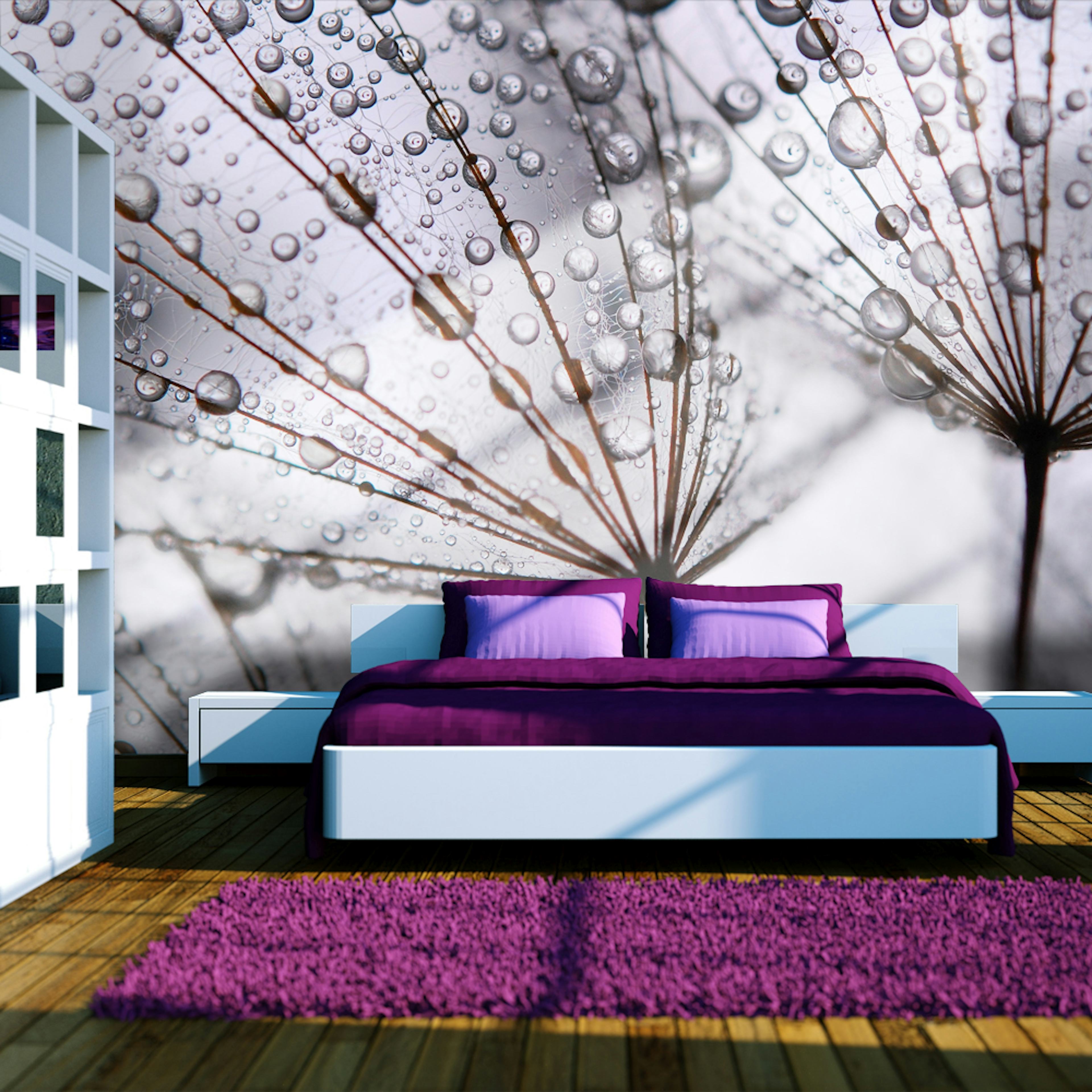 Fototapet Arkiio Maskros Och Morgondagg