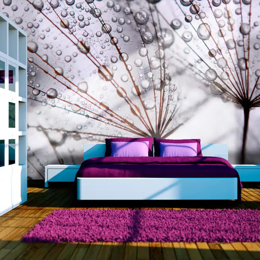 Fototapet Arkiio Maskros Och Morgondagg