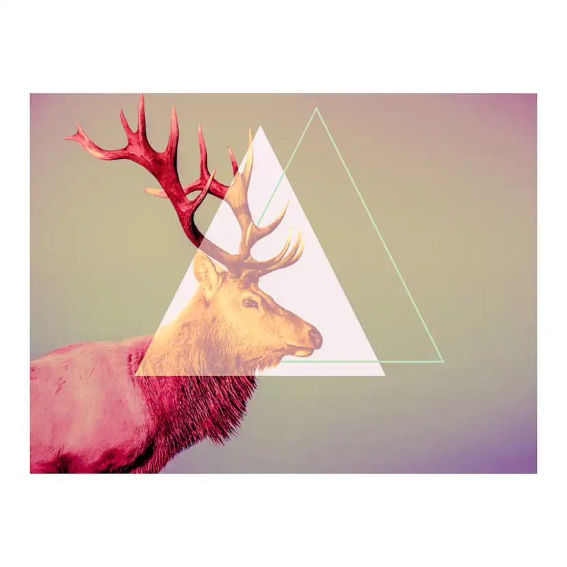 Fototapet Arkiio Deer Graphic Pattern