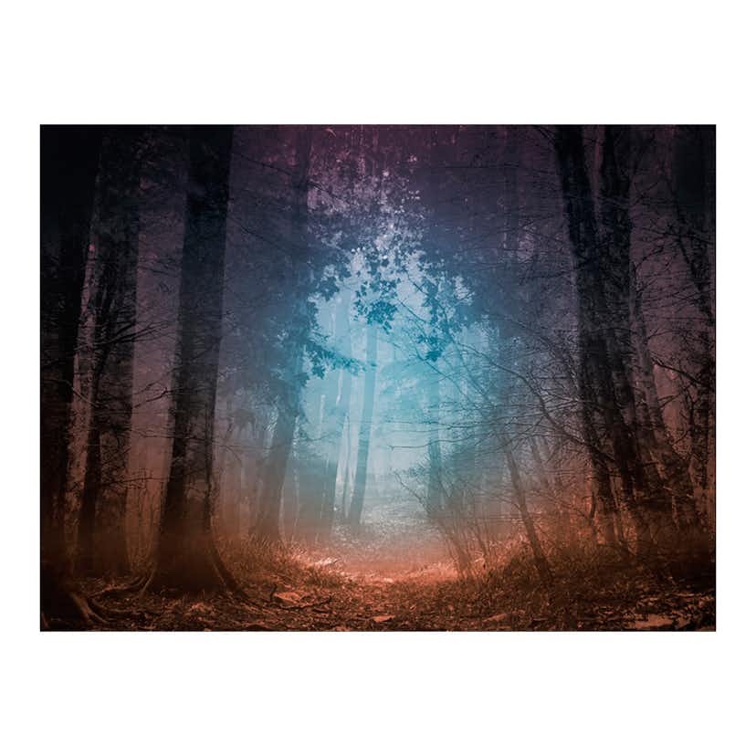 Fototapet Arkiio Keep Breathing