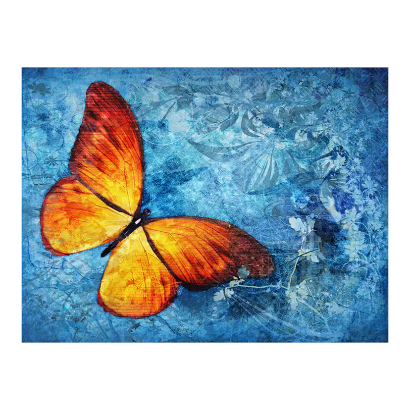 Fototapet Arkiio Fiery Butterfly