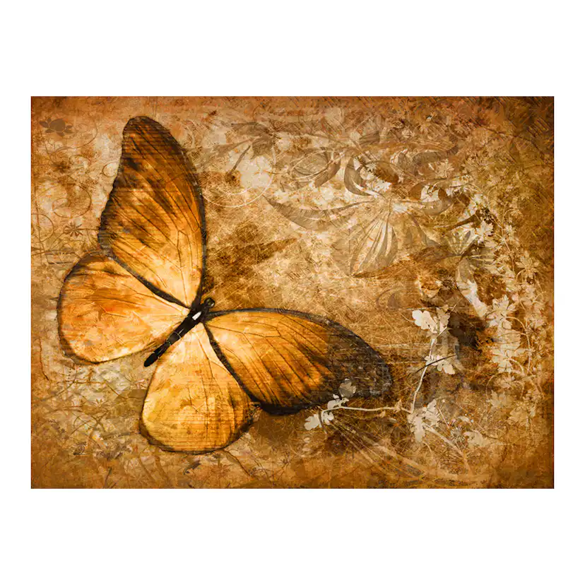 Fototapet Arkiio Butterfly Sepia