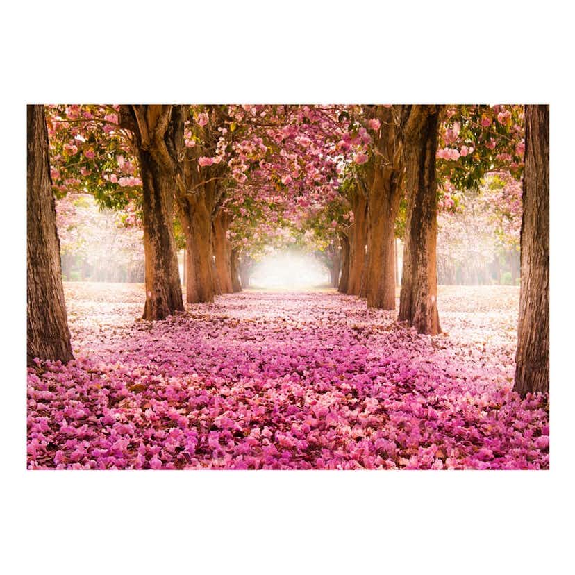 Fototapet Arkiio Självhäftande Pink Grove
