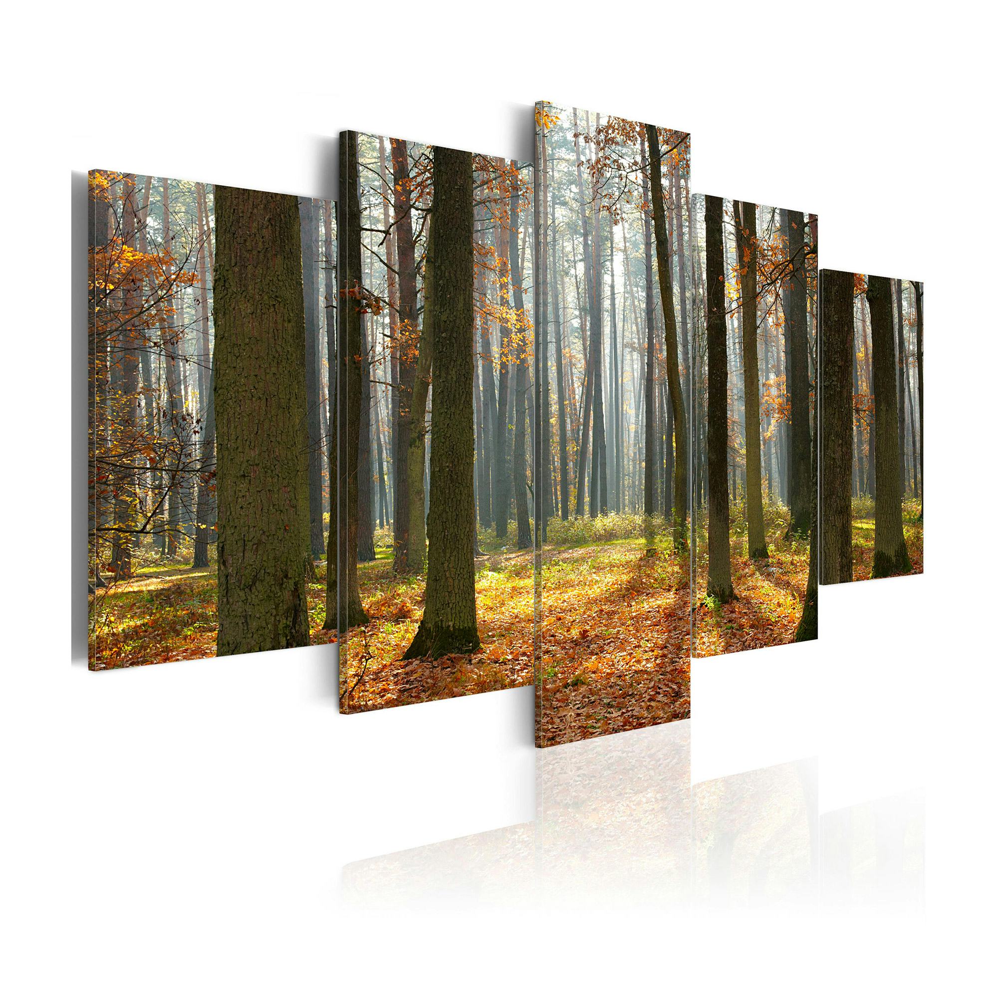 Tavla Arkiio A Nice Forest Landscape