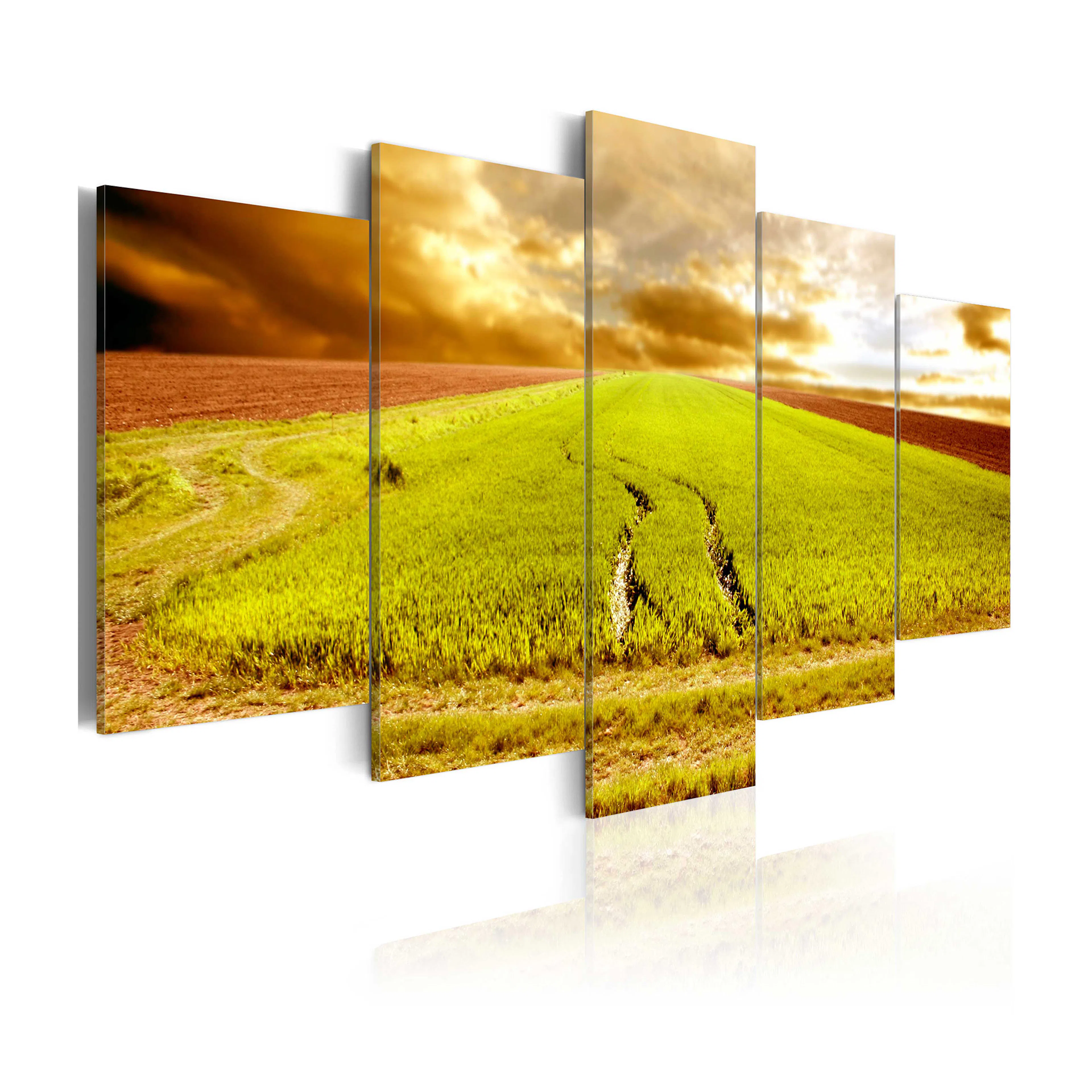 Tavla Arkiio Wheels Traces On A Field