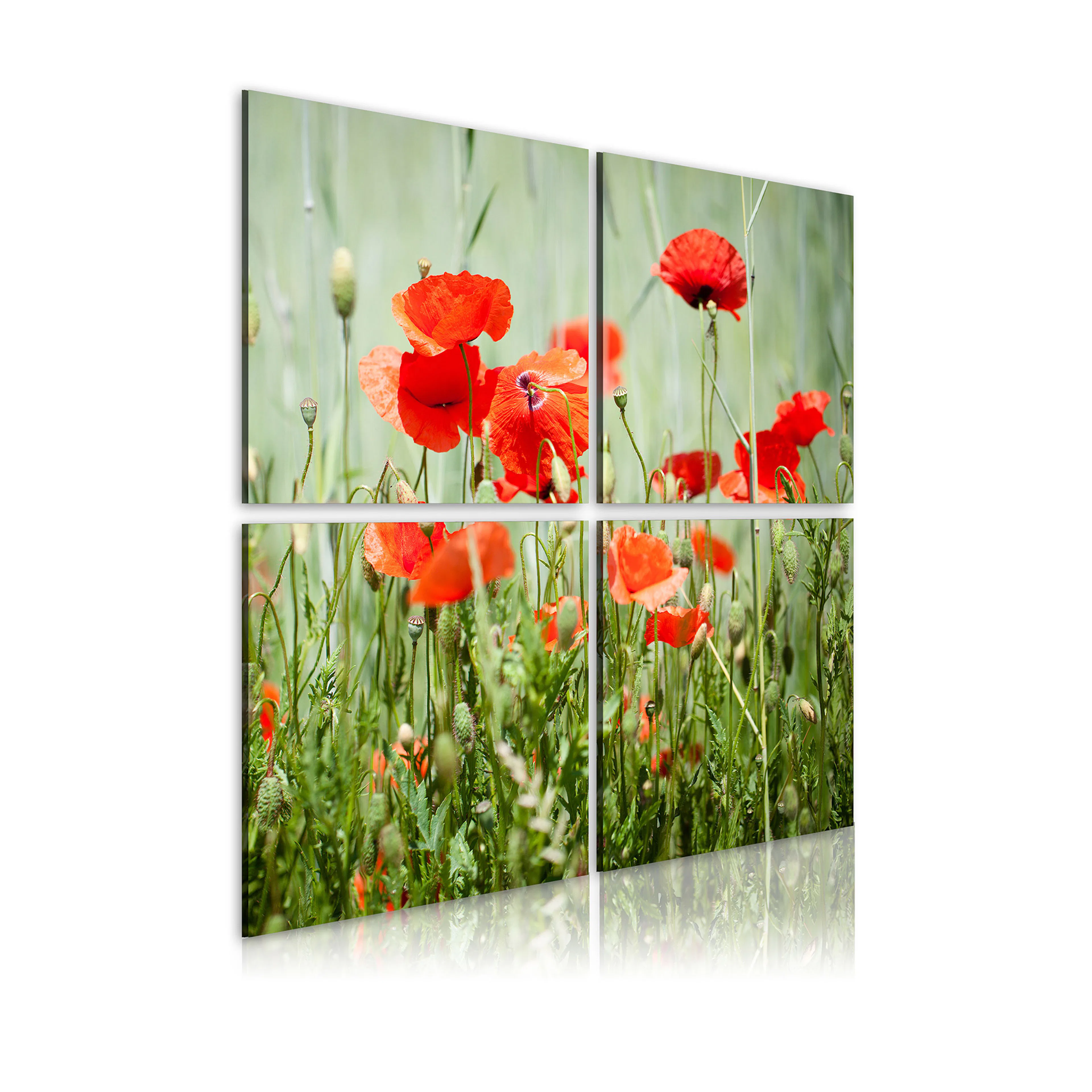 Tavla Arkiio Springtime