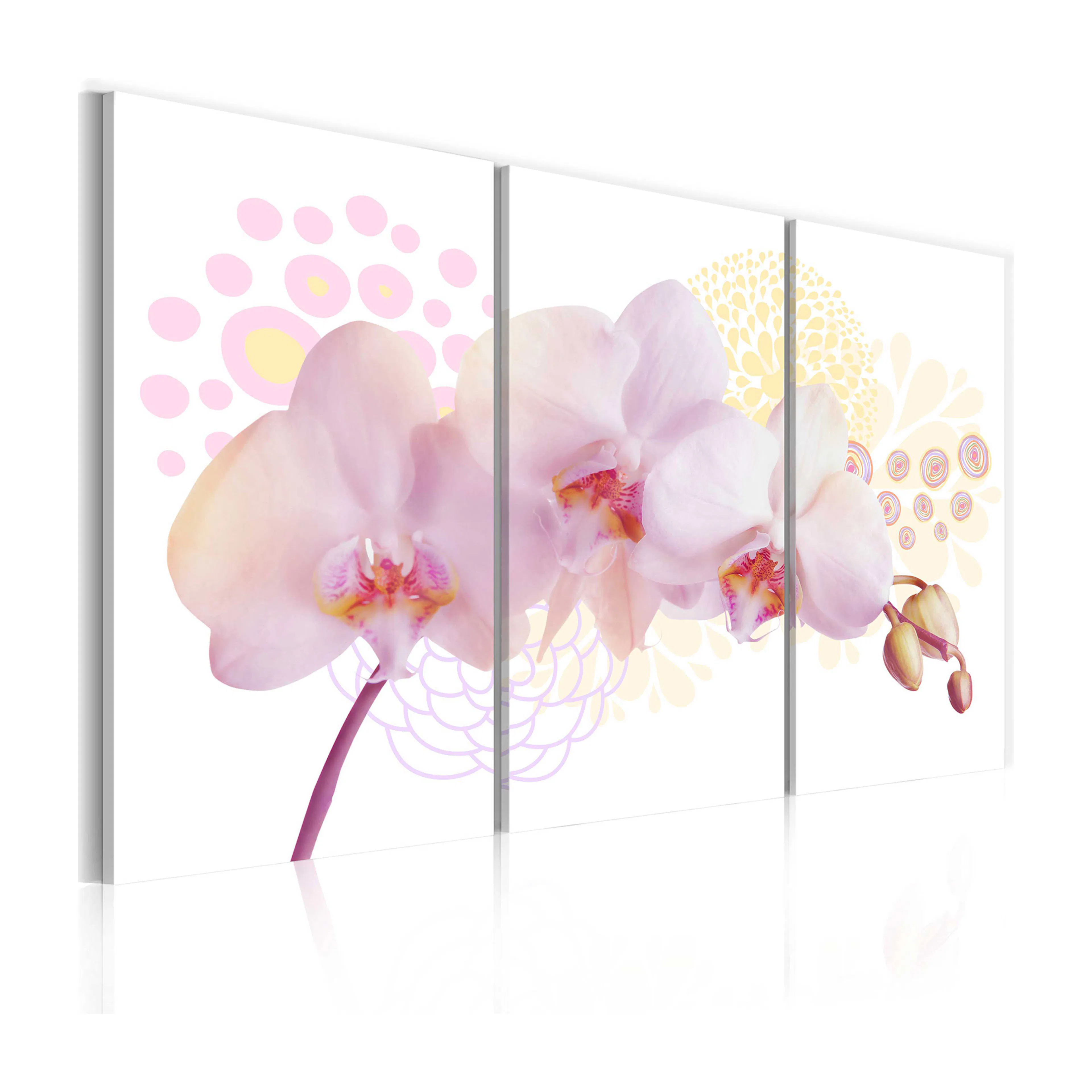 Tavla Arkiio White Lady