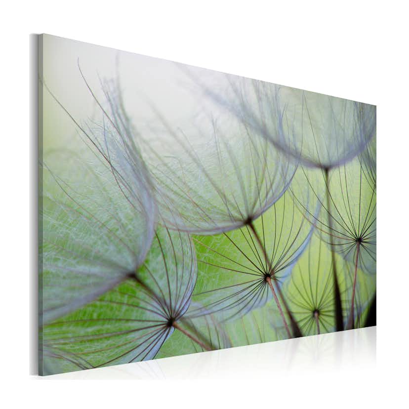Tavla Arkiio Dandelion In The Wind