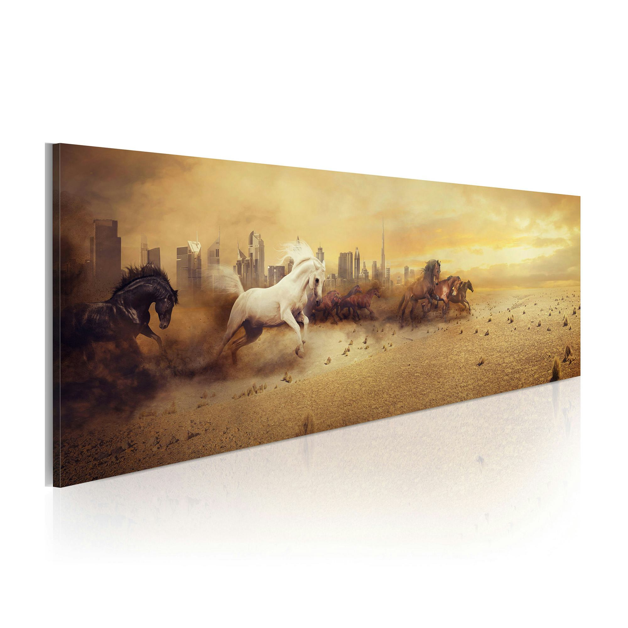 Tavla Arkiio City Of Stallions