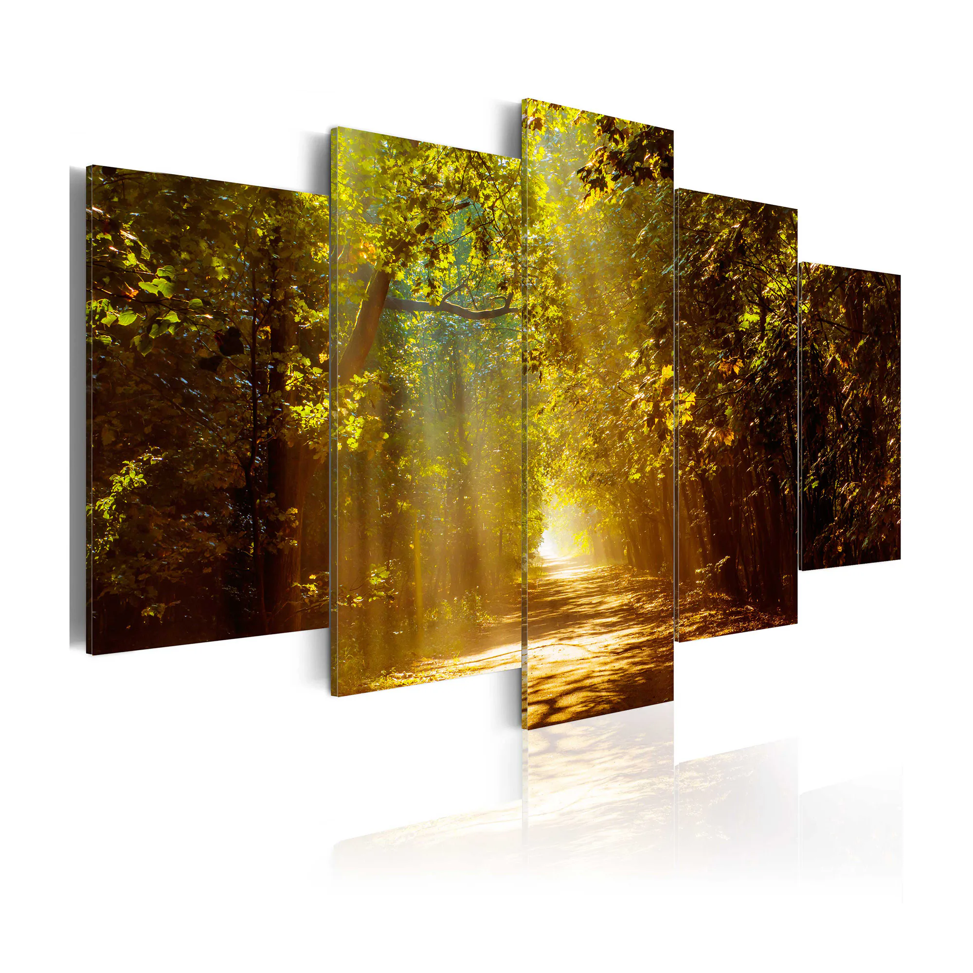 Tavla Arkiio Forest In The Sunlight