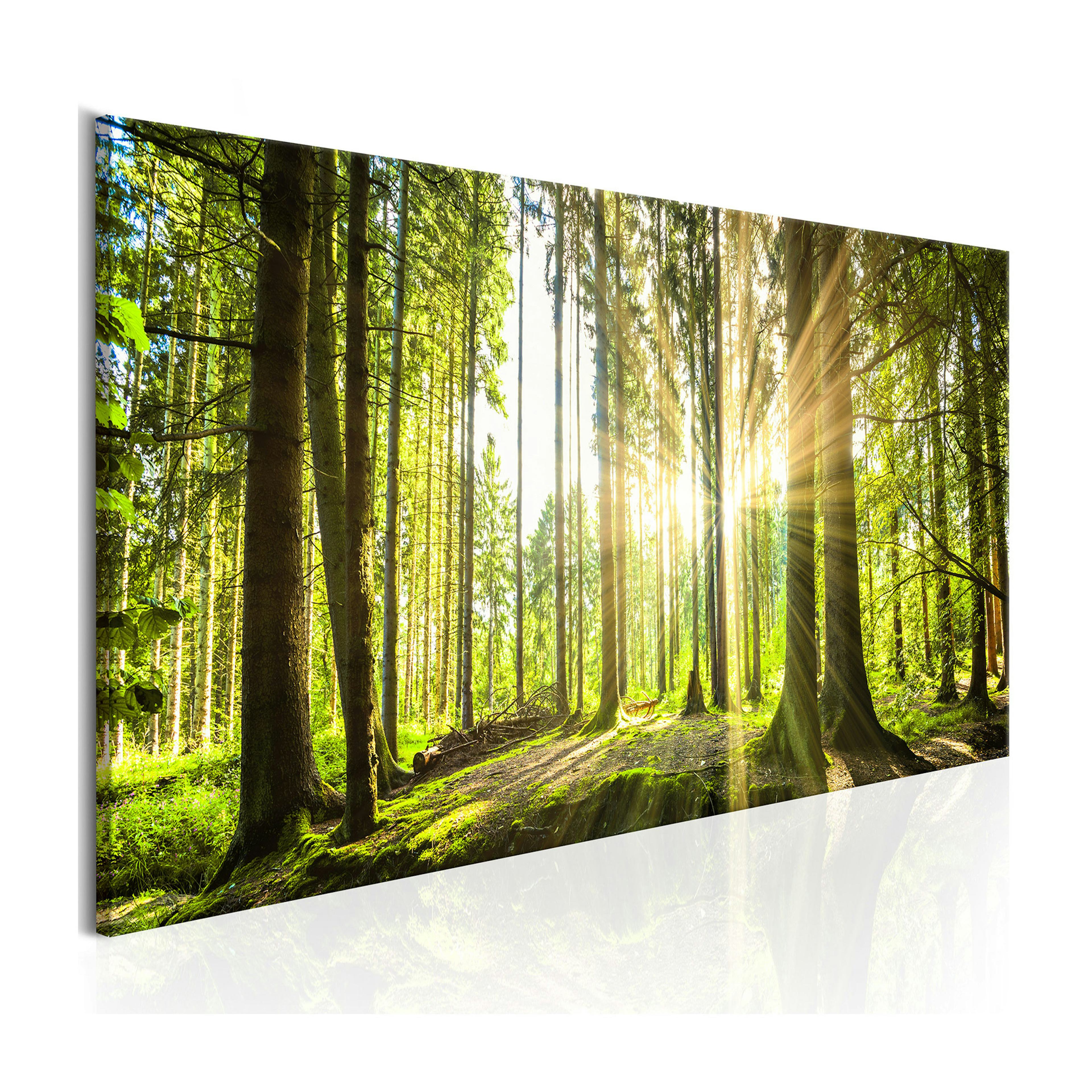 Tavla Arkiio Daylight