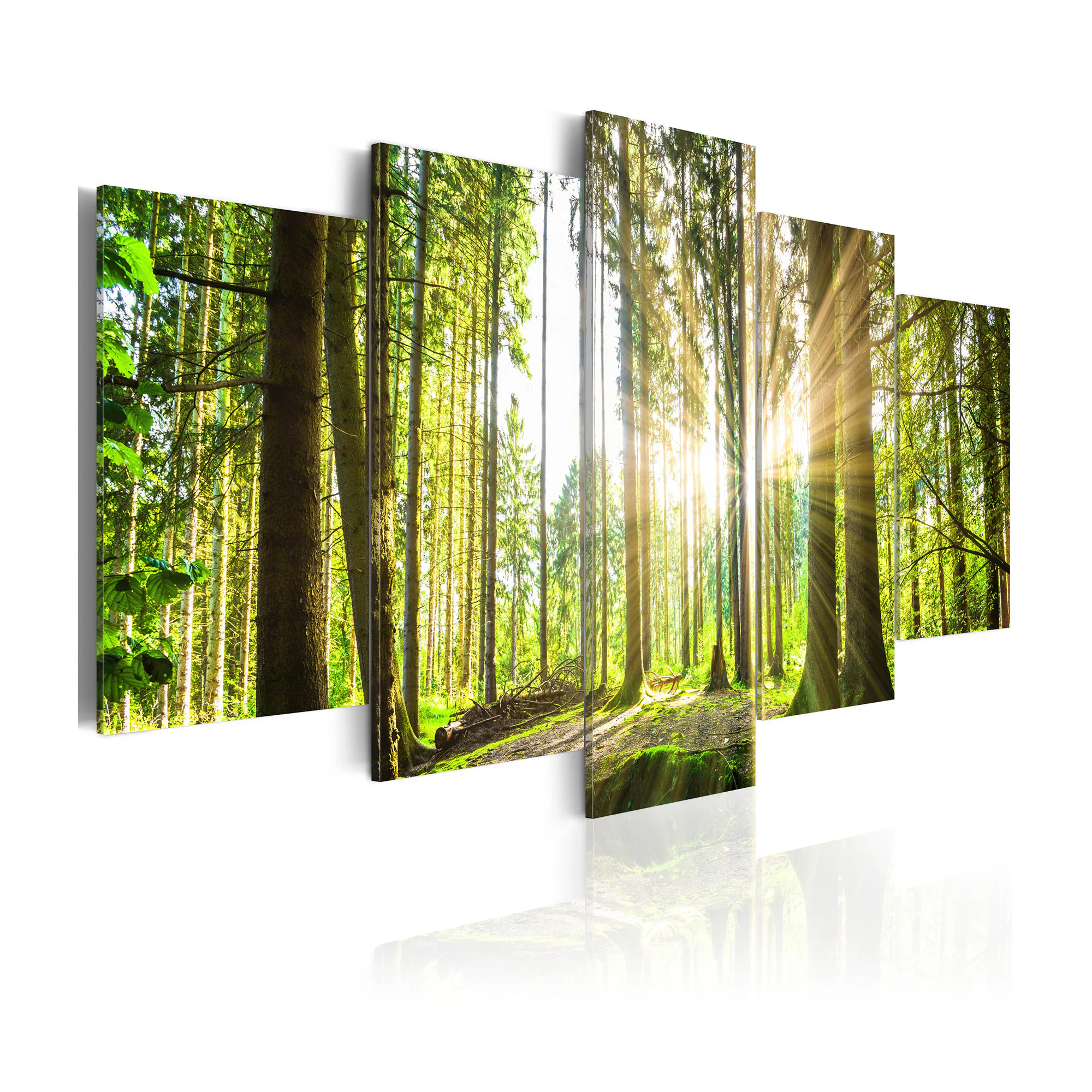 Tavla Arkiio Forest Kingdom