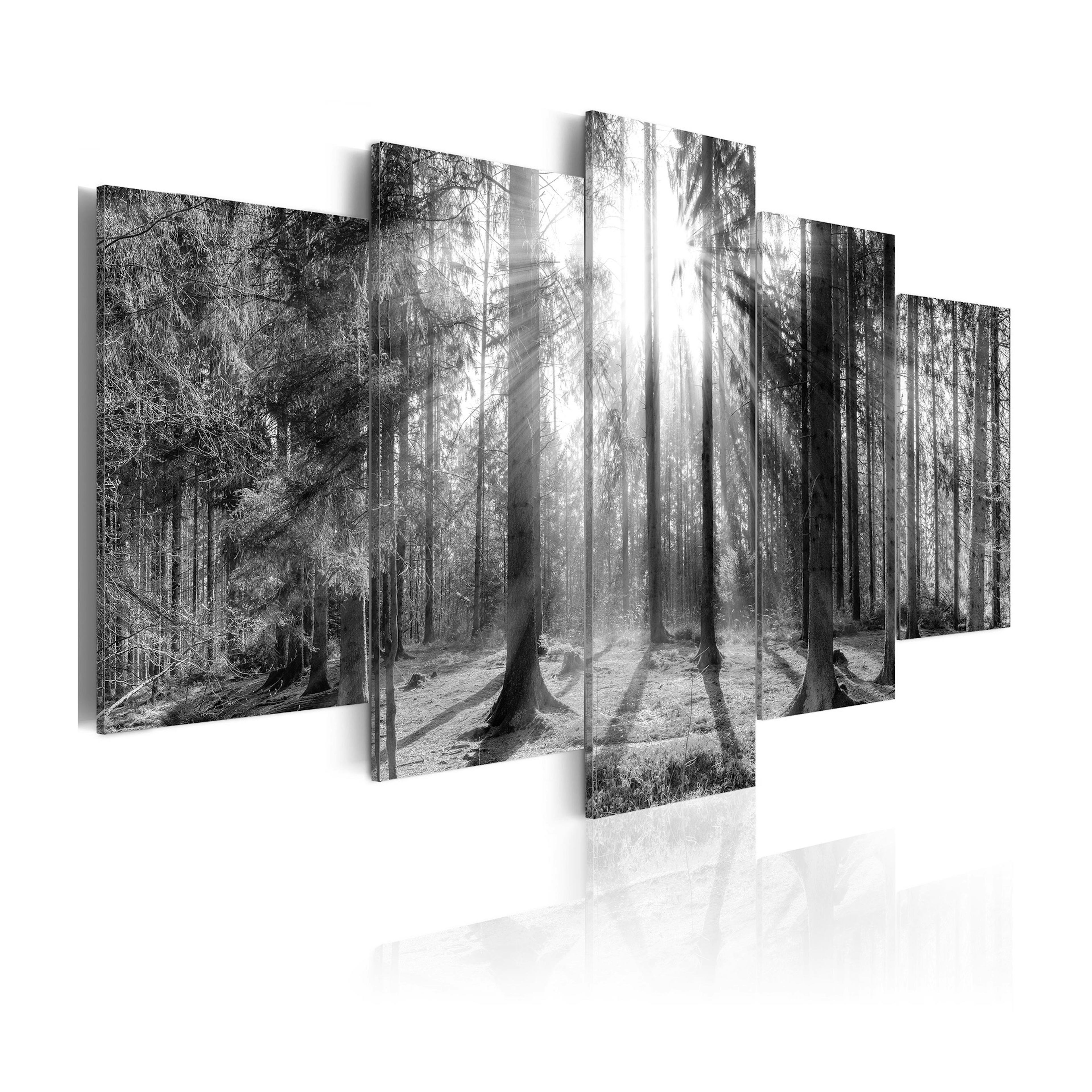 Tavla Arkiio Forest Of Memories