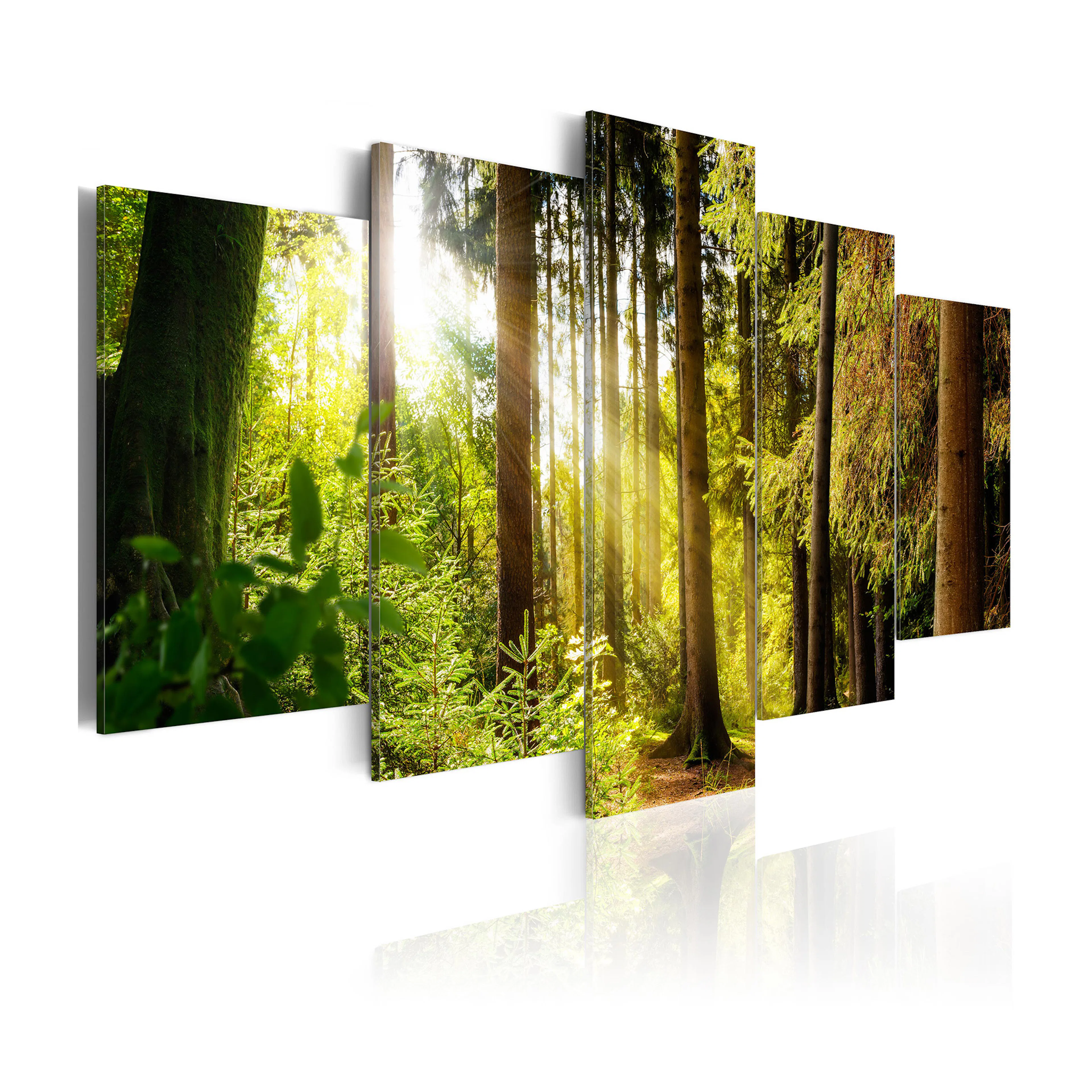 Tavla Arkiio Morning's Song