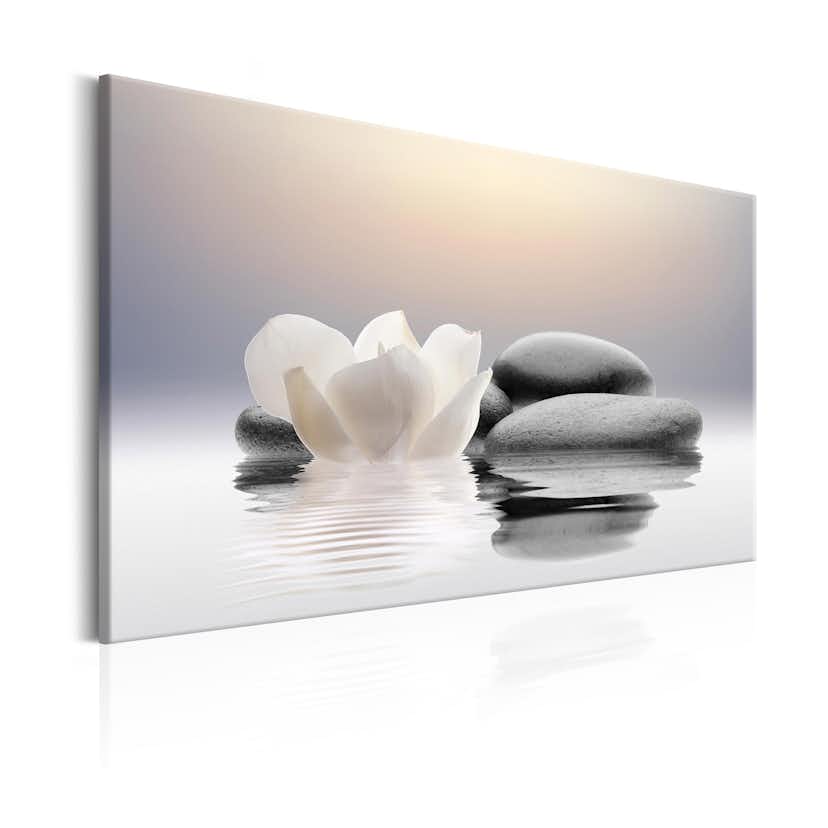 Tavla Arkiio Garden Of Calm