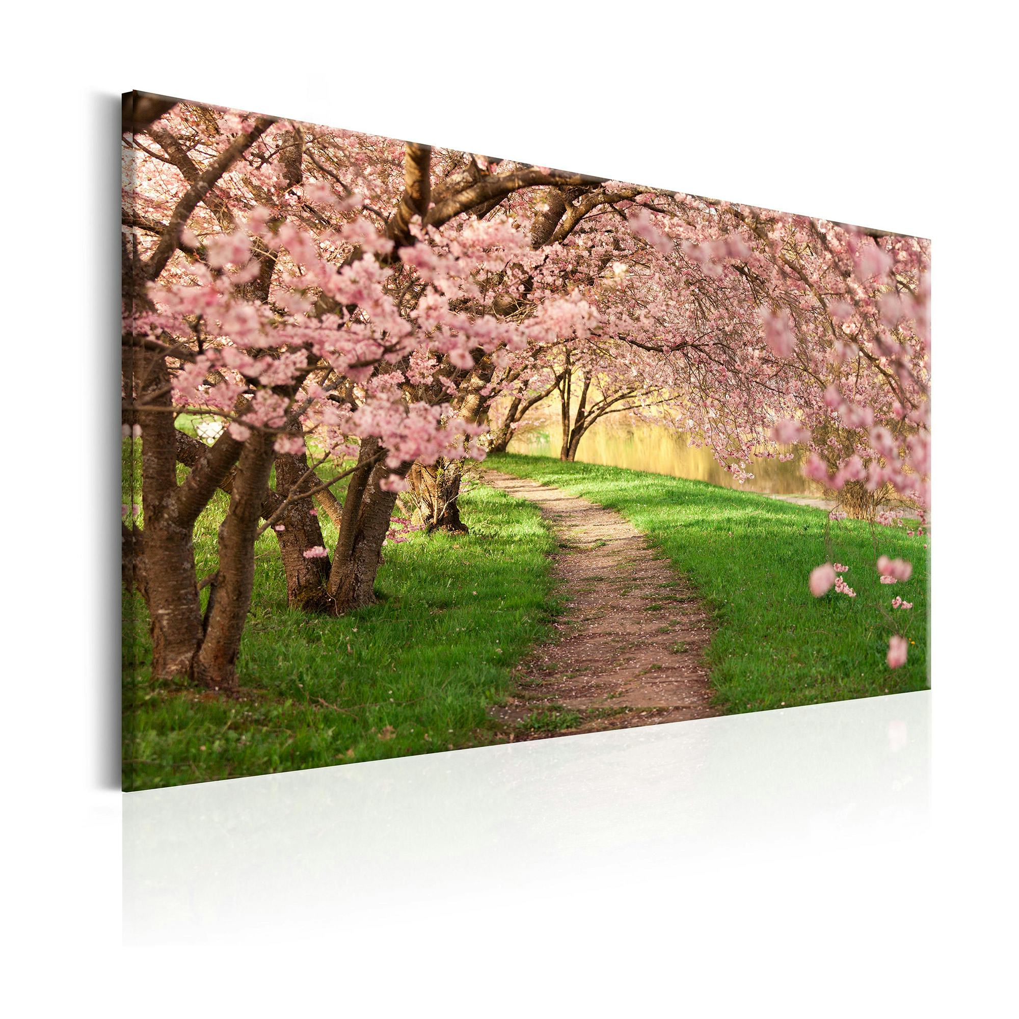 Tavla Arkiio Lovers Path