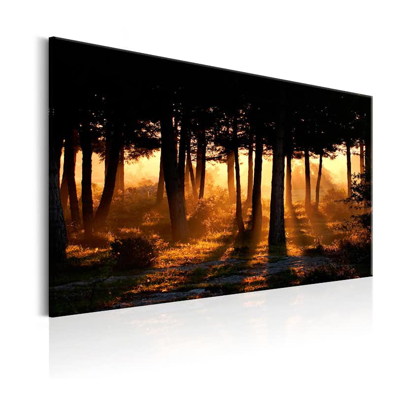 Tavla Arkiio Forest Dawn