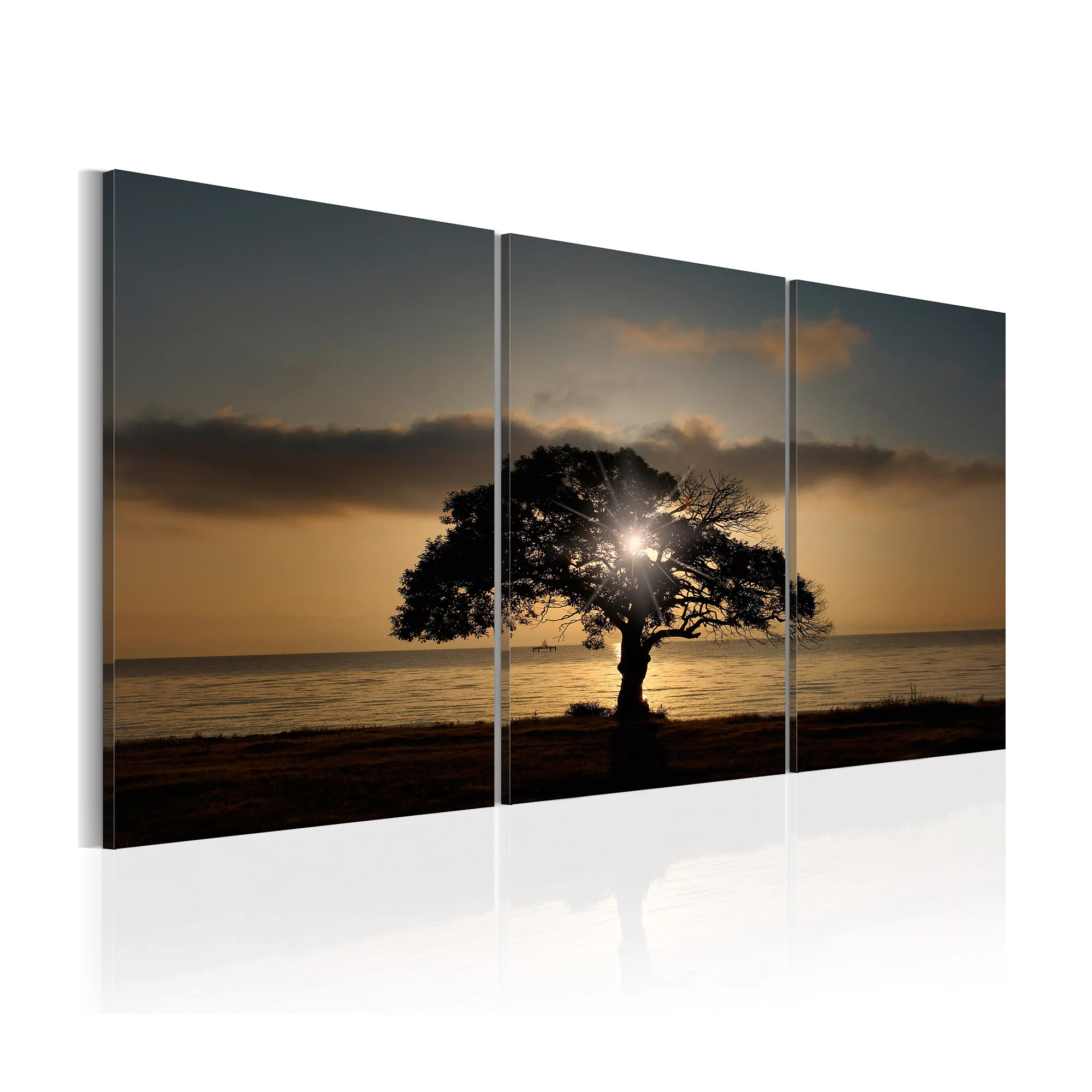 Tavla Arkiio Extraordinary Nature 120x60