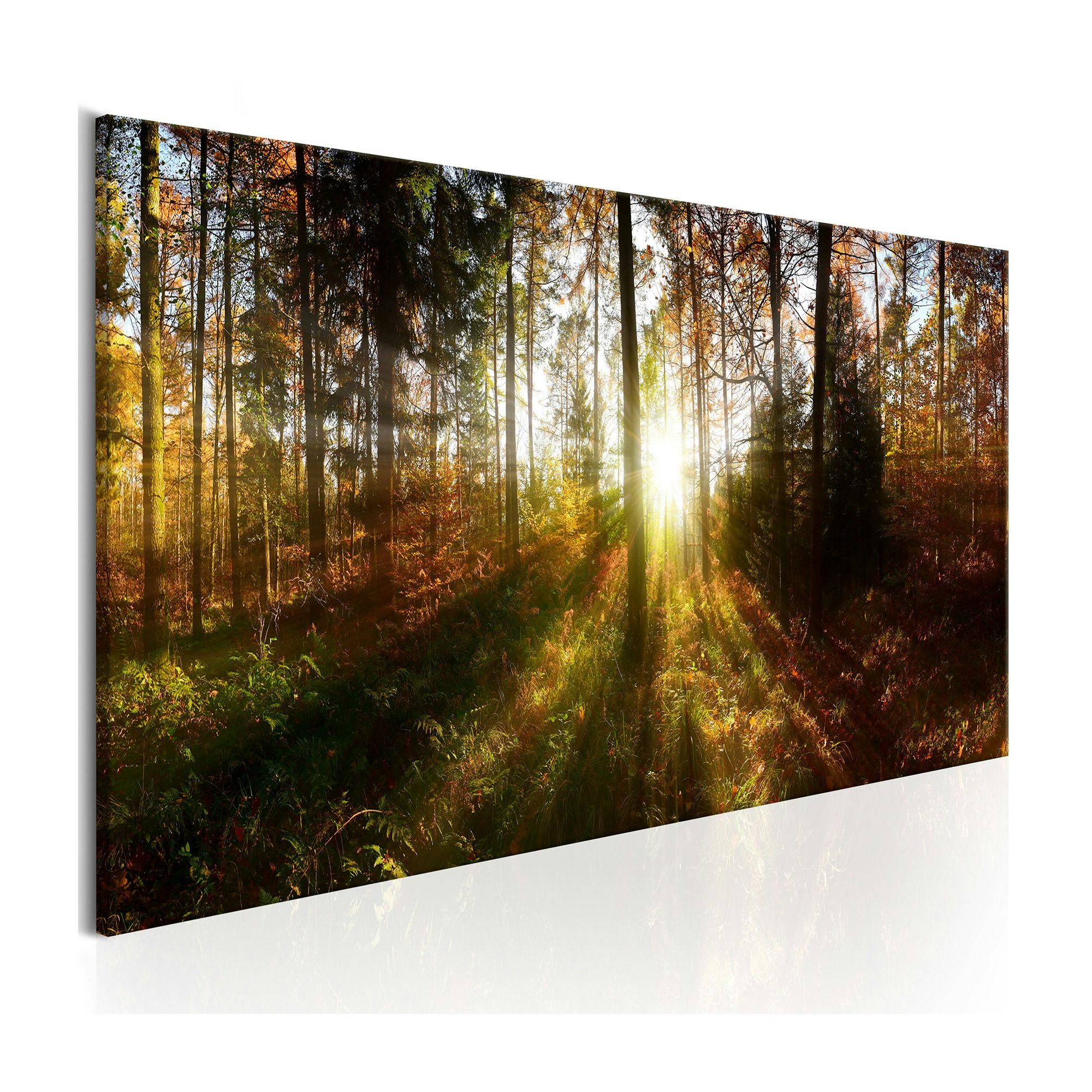 Tavla Arkiio Beautiful Forest