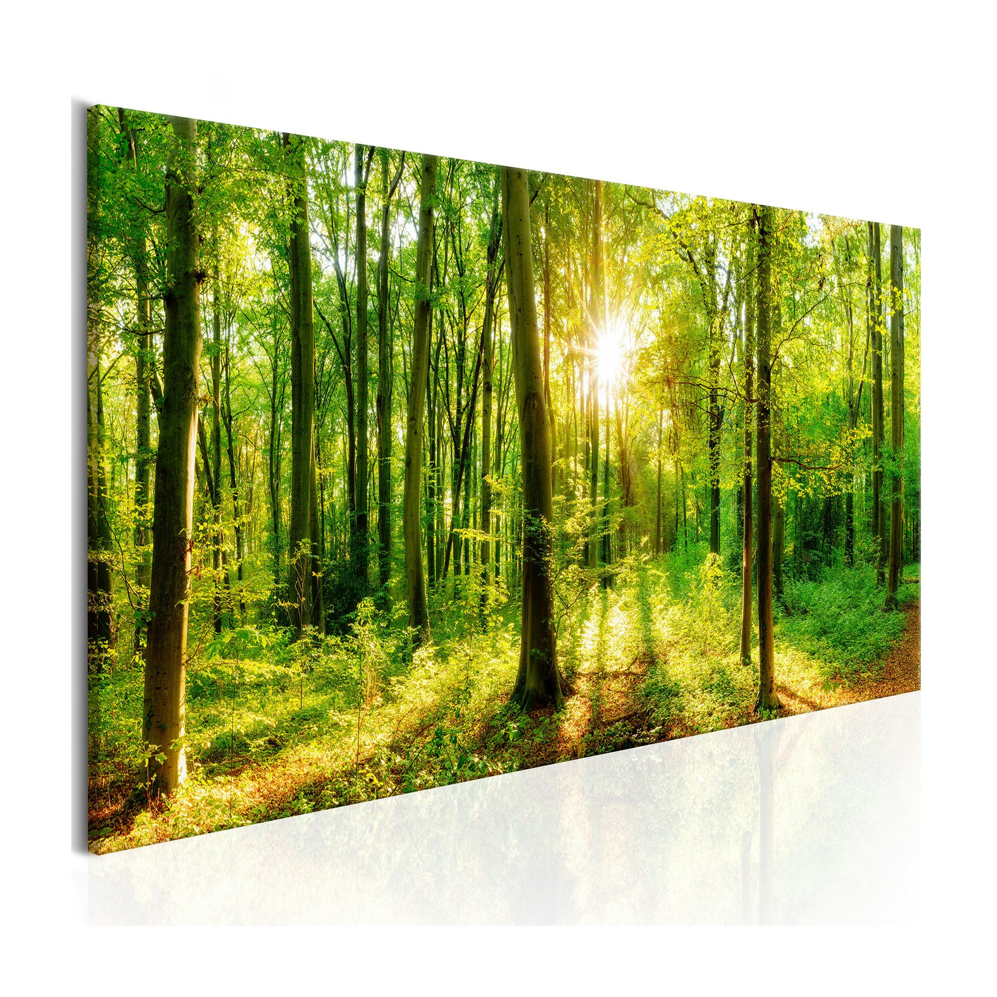 Tavla Arkiio Green Magic