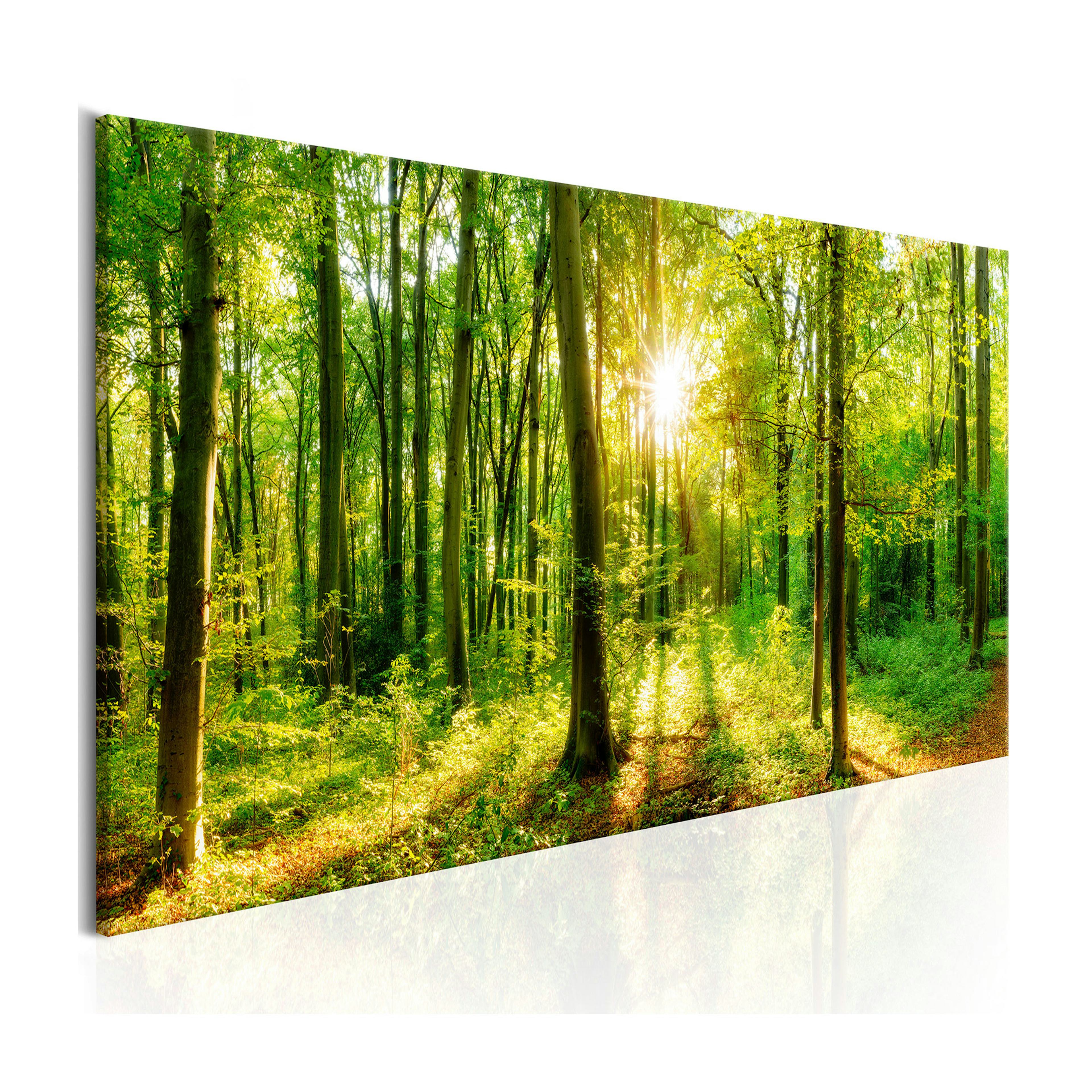 Tavla Arkiio Green Magic