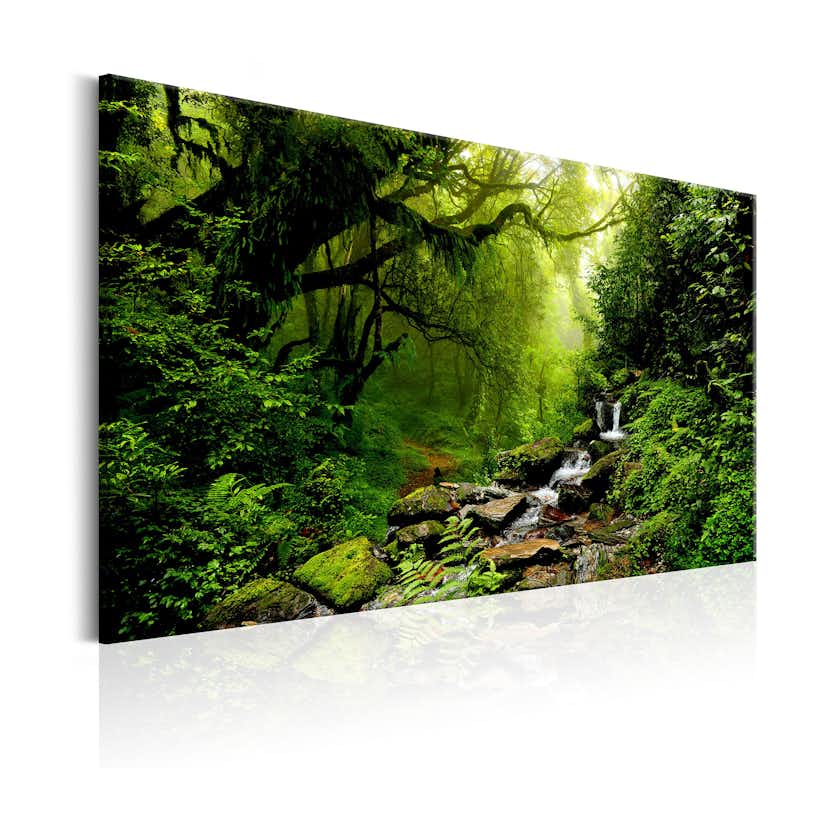 Tavla Arkiio Waterfall In The Forest