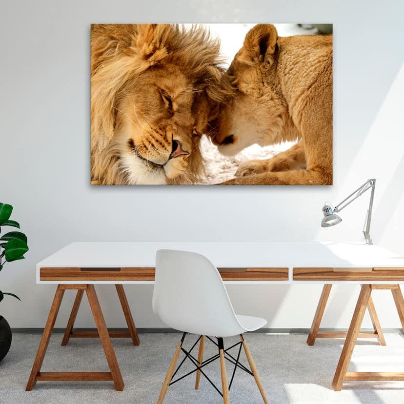 Tavla Arkiio Love's Secret