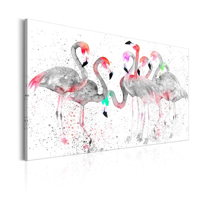 Tavla Arkiio Flamingoes Dance