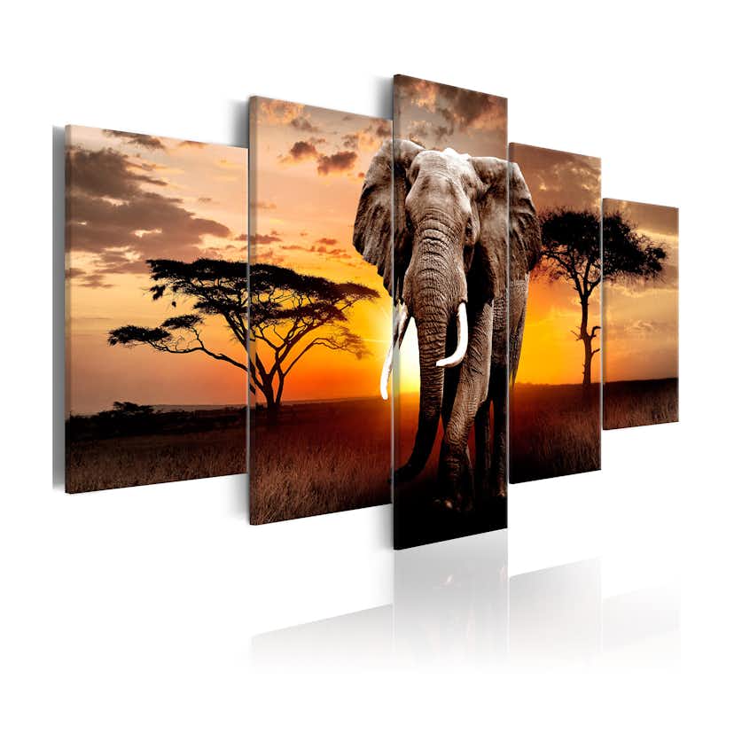 Tavla Arkiio Elephant Migration