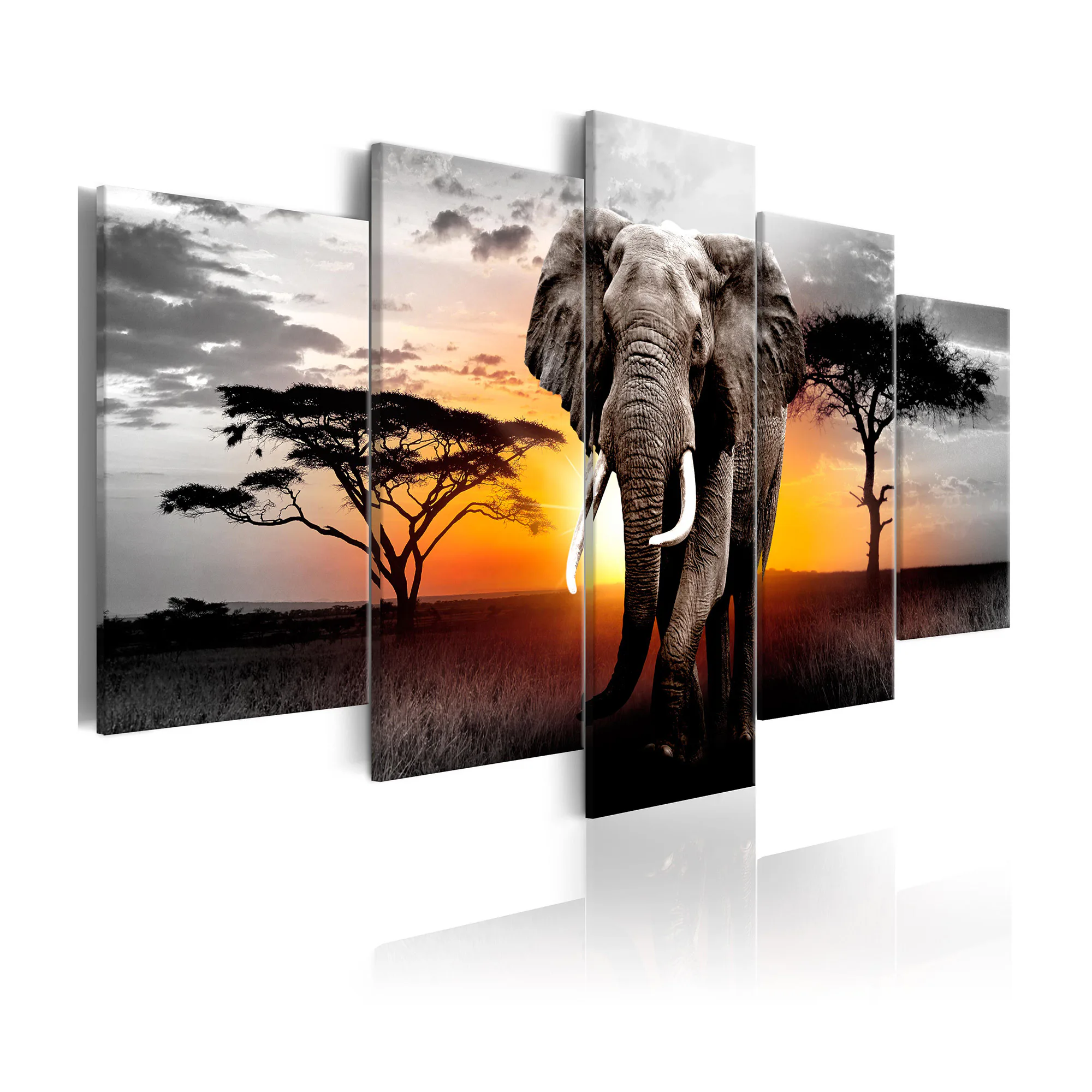 Tavla Arkiio Elephant at Sunset