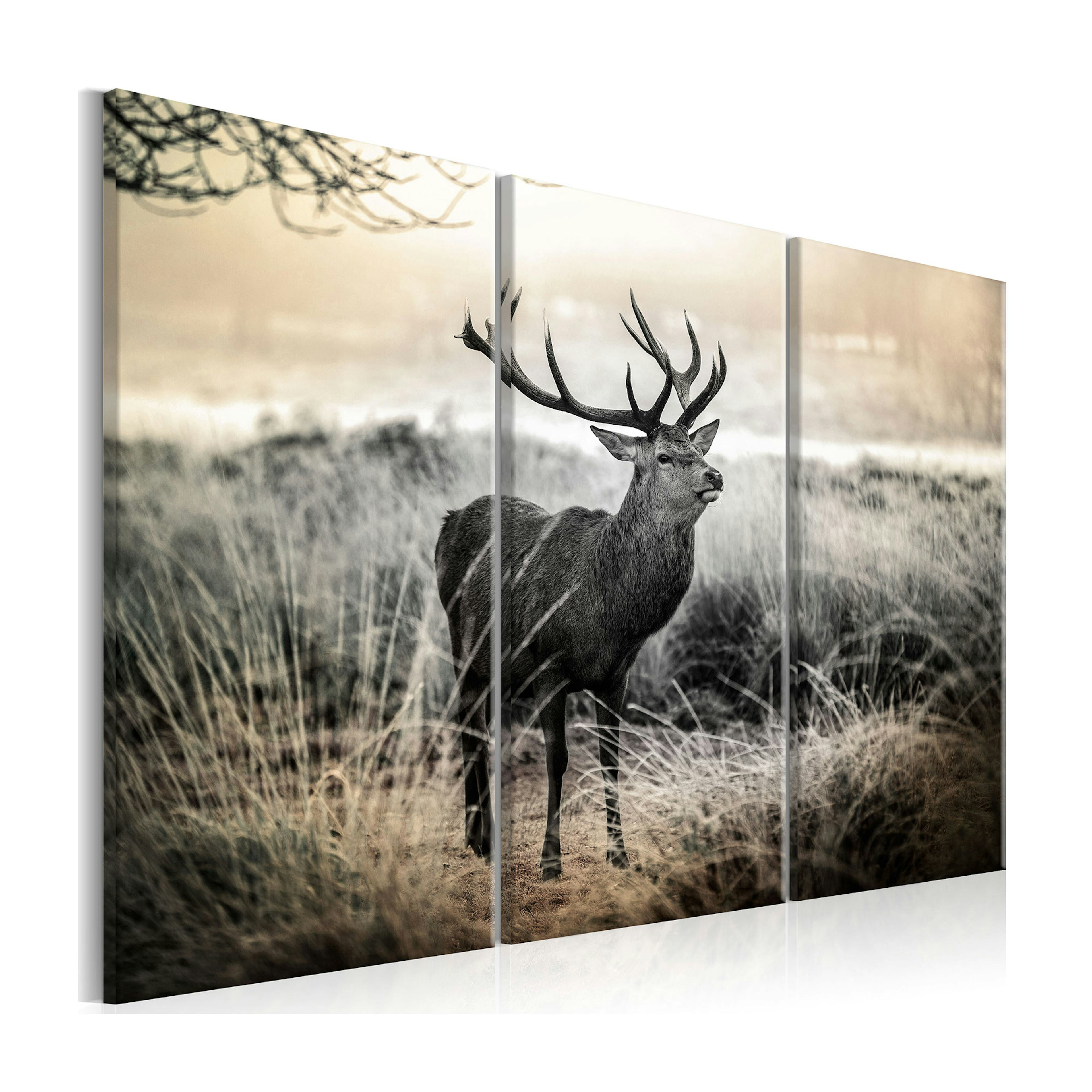 Tavla Arkiio Dangerous Horns I