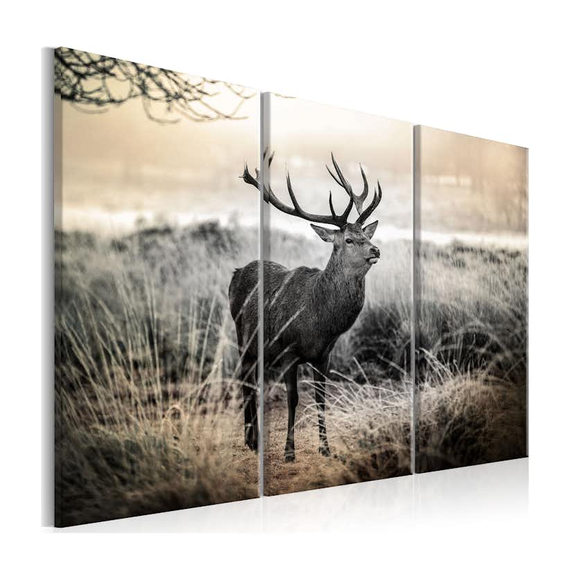 Tavla Arkiio Dangerous Horns I