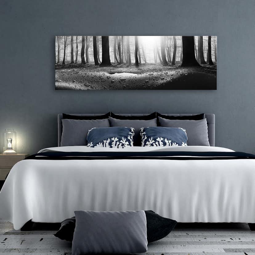 Tavla Arkiio Forest After Rain