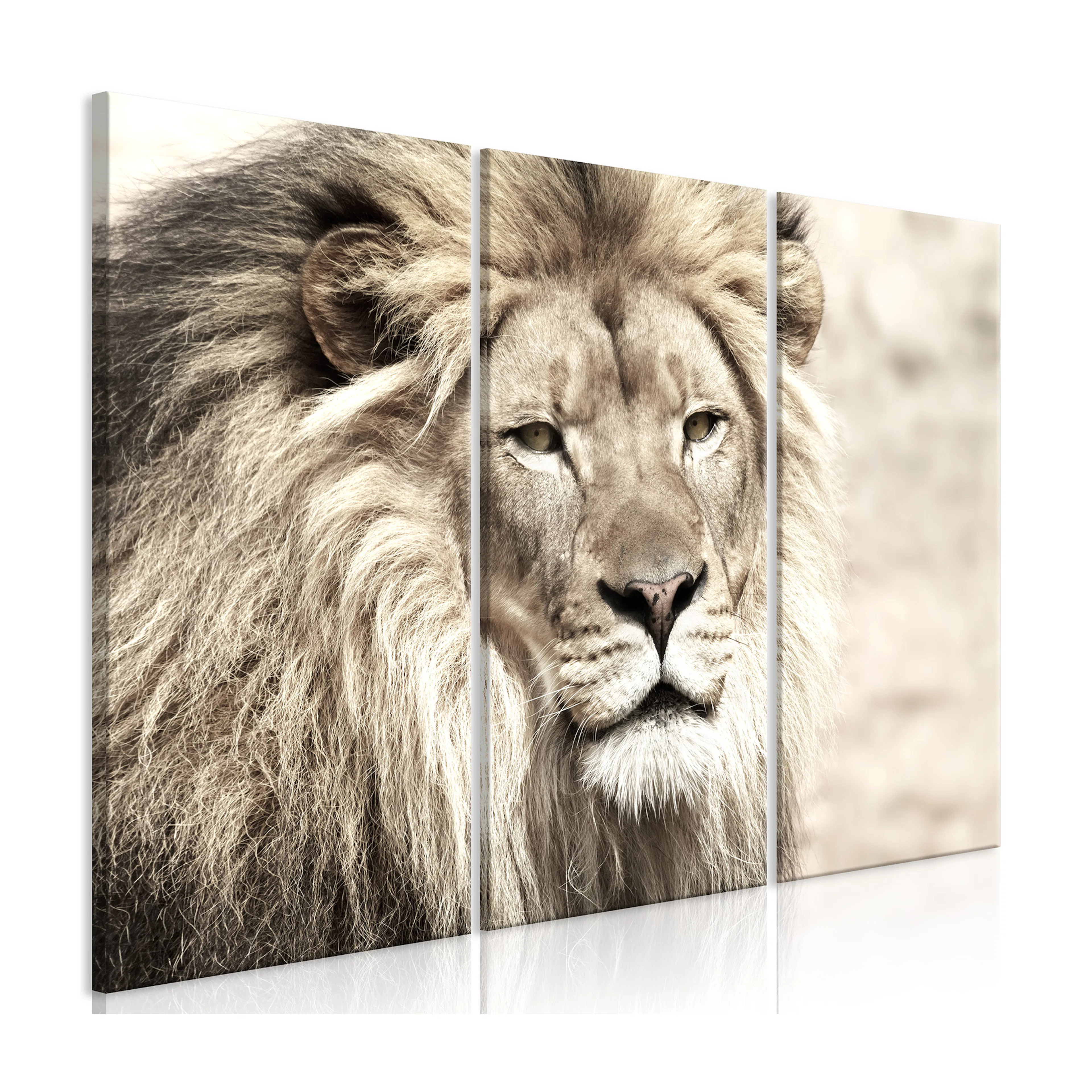 Tavla Arkiio Retro Map Beige 3 delar