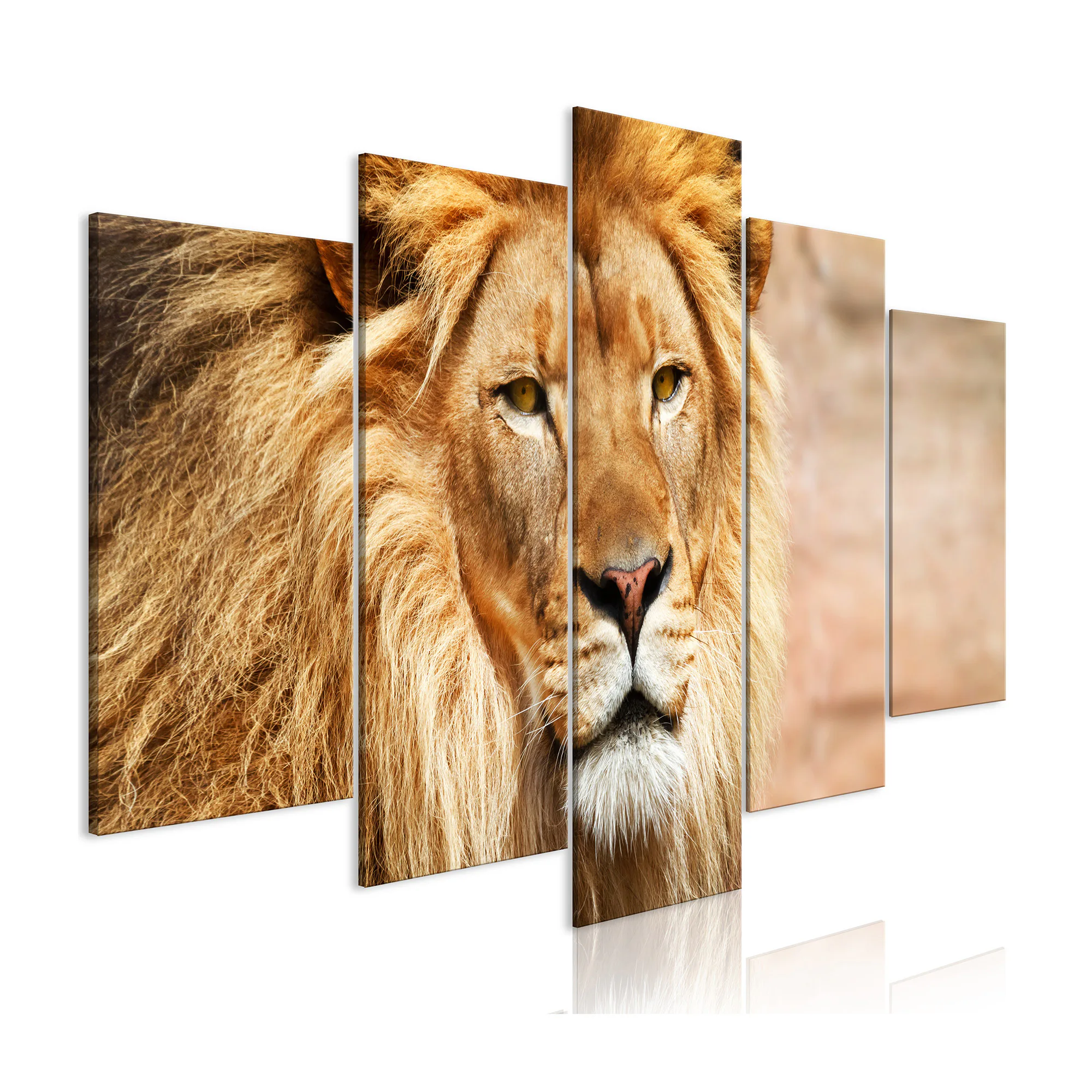 Tavla Arkiio The King Of Beasts Wide Orange 5 delar